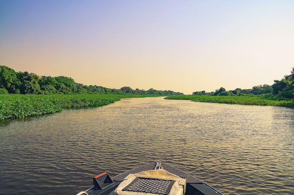 Chuvas aumentam e pesca esportiva no Pantanal volta a ser favorecida
