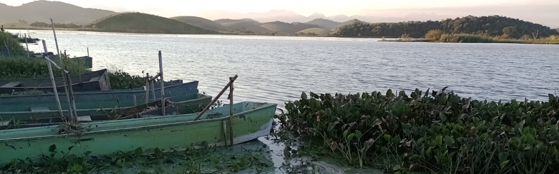 Muito procurada por pescadores esportivos, Lagoa de Juturnaíba, no estado do Rio, passa por mutirão de limpeza