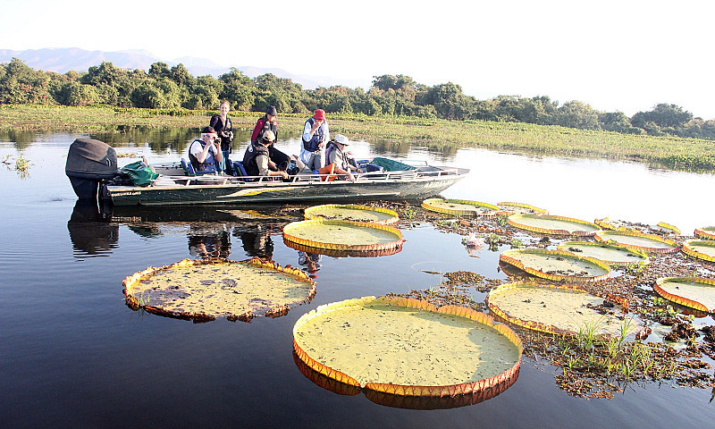Prestes a começar a Piracema, turismo de Pesca Esportiva está em alta no Pantanal